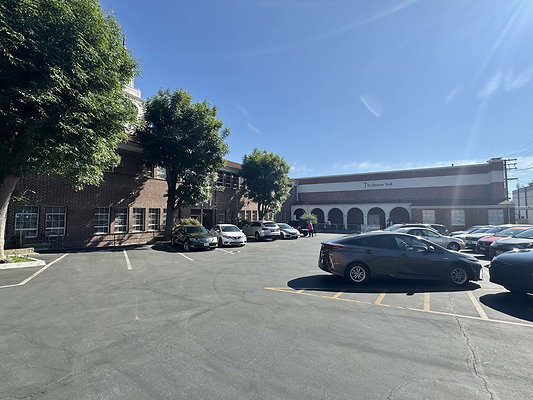 bellarmine 107