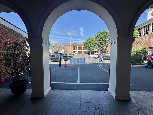 bellarmine 113