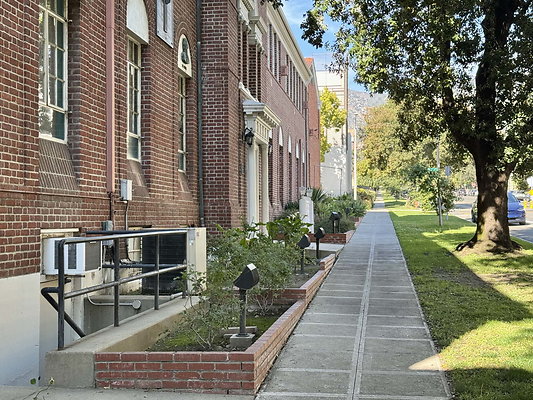 bellarmine 011