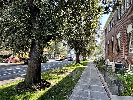 bellarmine 009