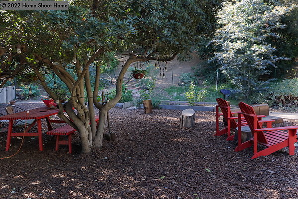 49backyard2-reverse