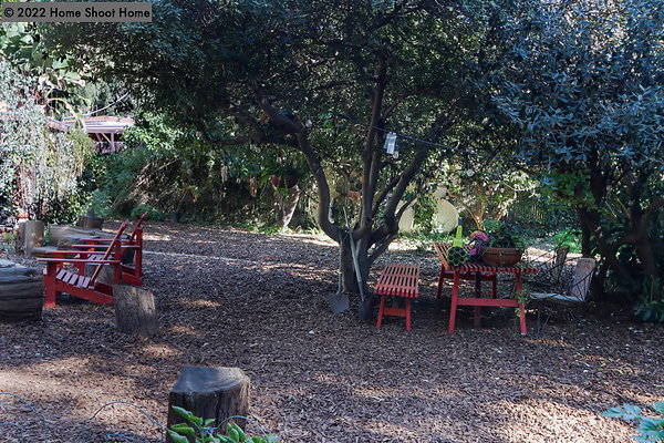 48backyard2