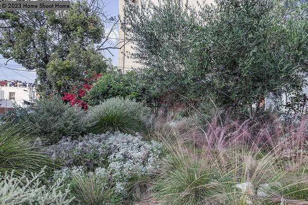 108front-yard-side-view-reverse