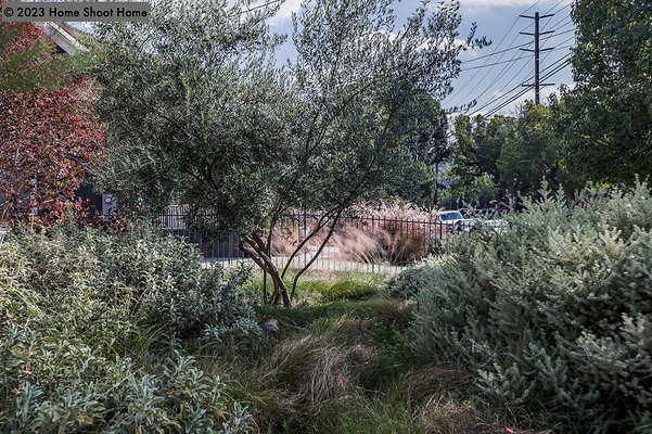107front-yard-side-view