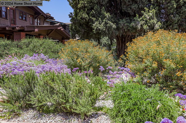 80front-yard-side-view-reverse