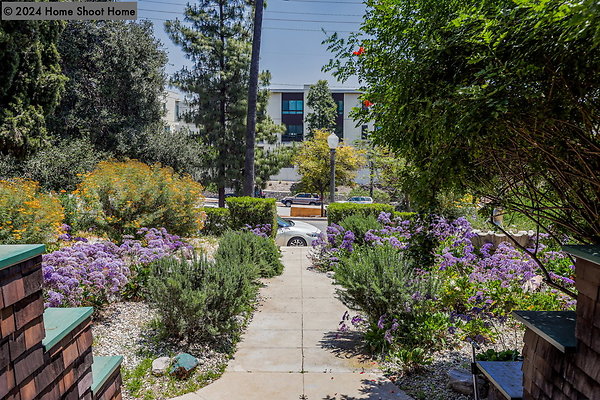 74view-from-front