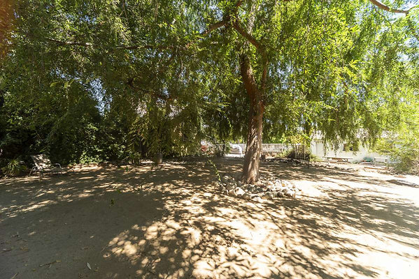 13768 garden 4