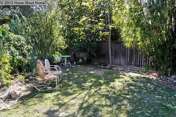 20backyard