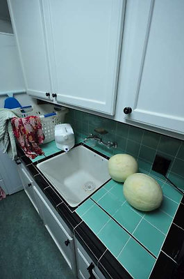 9301 laundry 2