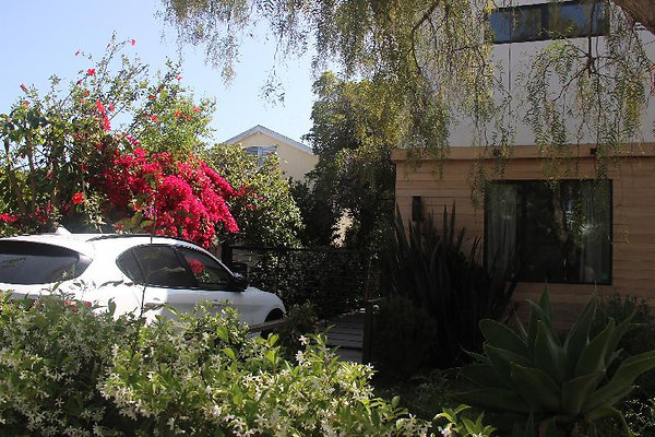 9910 garden 2