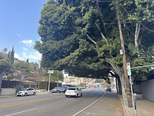 hyperion ave 057
