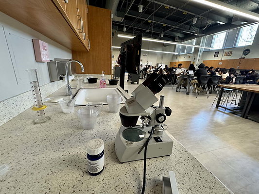 Grant High School