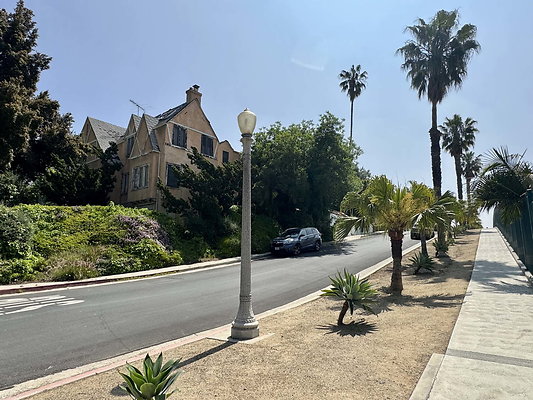 Ettrick Street