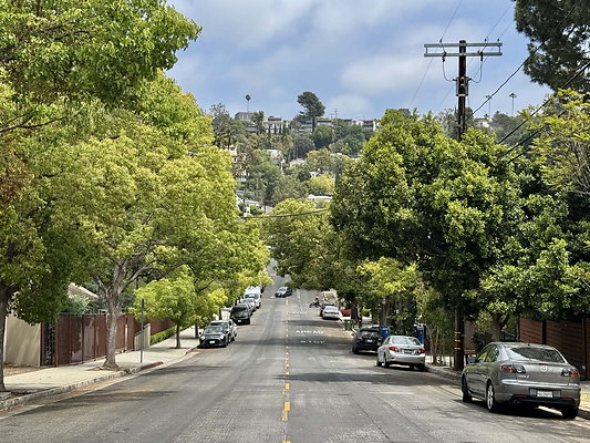 Prospect Avenue