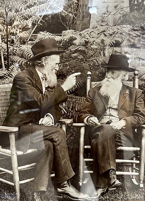 john muir 206 john muir 206