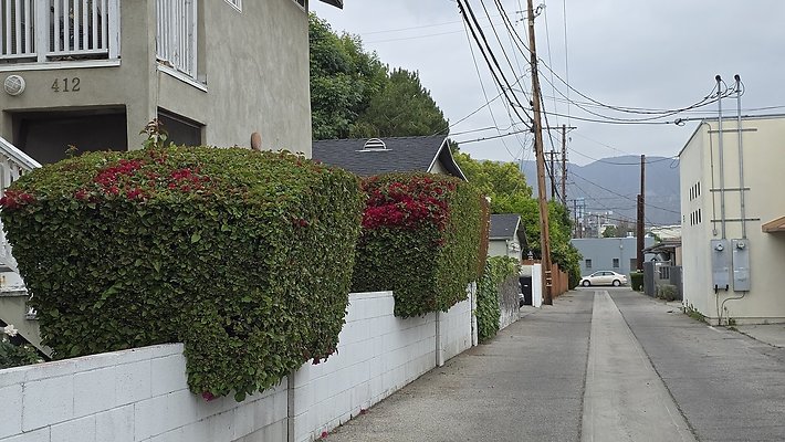 a-alley N of Magnolia176