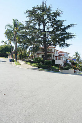 Meyler 2395 BalHills