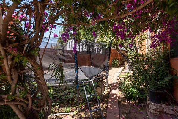 12375 garden 1