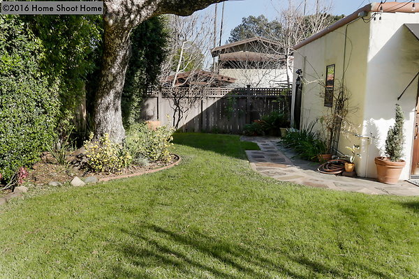 36backyard