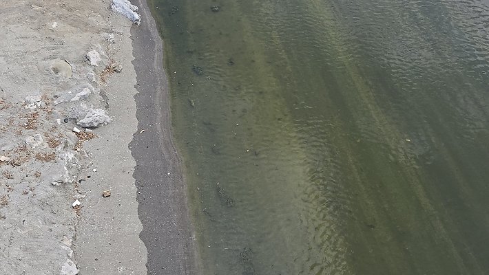 a-ballona bridge343