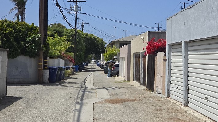 a-Alley E of Culver Elenda to Harter448