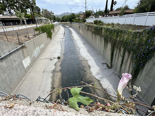 Lake Street-Burbank
