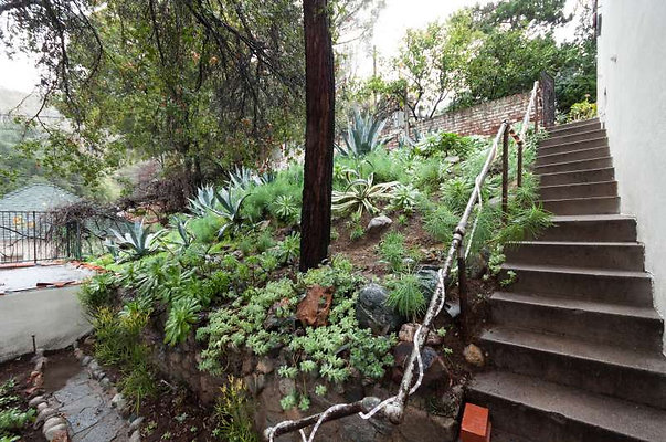 2504 garden 2
