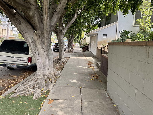 tracy street 005