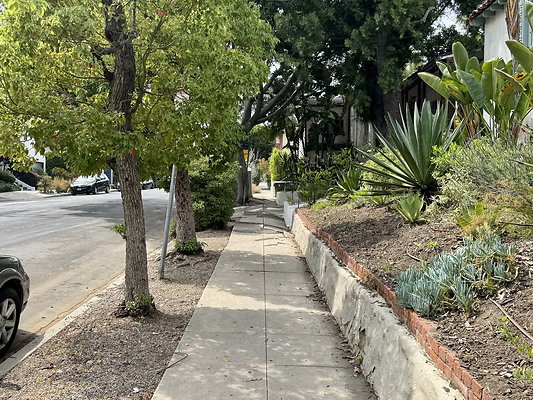 tracy street 012
