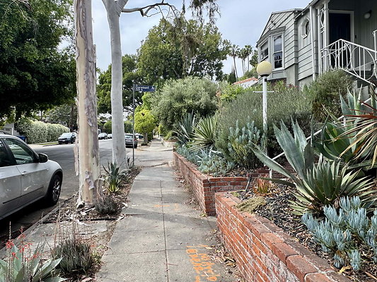 tracy street 013