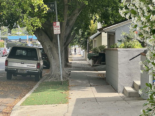 tracy street 004